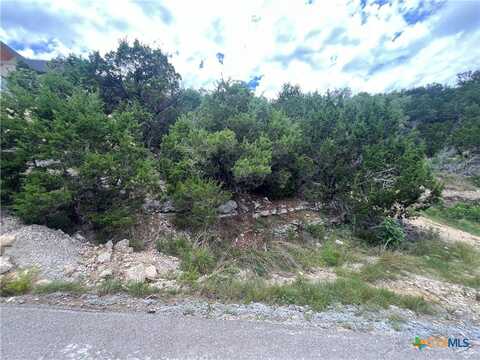 1597 Trail Pass Drive, Canyon Lake, TX 78133