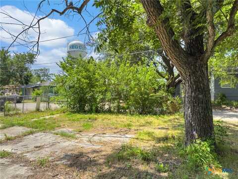 729 Schuessler Street, Seguin, TX 78155