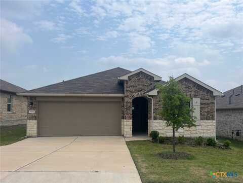 19712 Abigail Fillmore Road, Manor, TX 78653