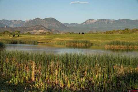 4369 Cattle Drive, Crawford, CO 81415