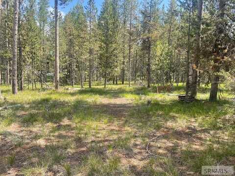 4242 Stevenson Street, Island Park, ID 83433