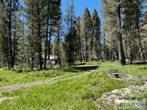 3521 Pine Cone Drive, Island Park, ID 83420