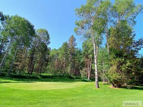 1355 S Timberline Road, Ashton, ID 83420