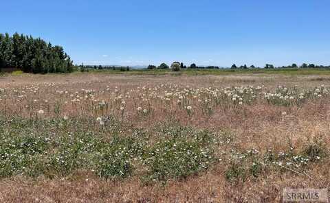 423 W 260 N, Blackfoot, ID 83221