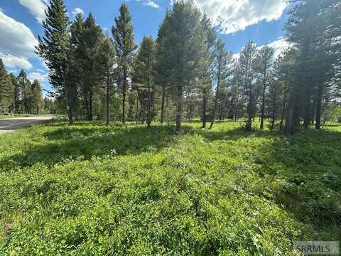 4095 Icehouse Creek Road, Island Park, ID 83429