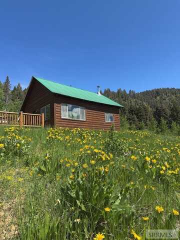 4180 Price Road, Island Park, ID 83429