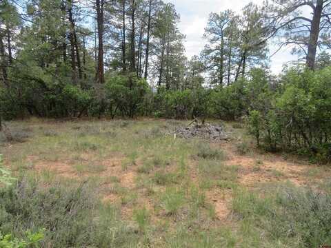 710 Doc Adams Road, Pagosa Springs, CO 81147