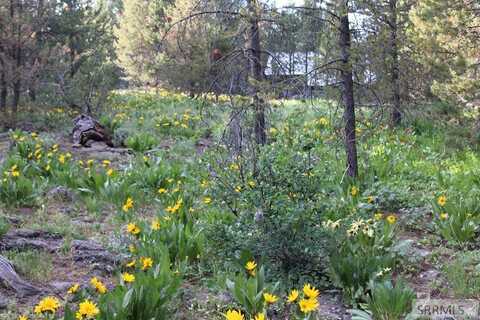 0000 Buffalo Dr, Island Park, ID 83429
