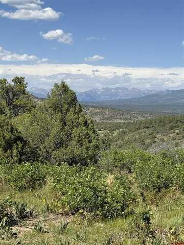 865 Top Ridge Place, Pagosa Springs, CO 81147