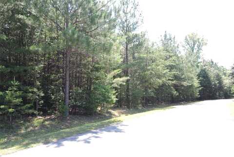 000 N Dakota Drive, Rutherfordton, NC 28139