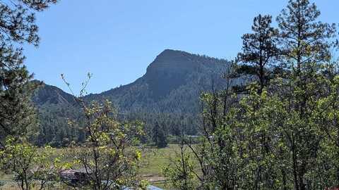 434 Bob's Place, Pagosa Springs, CO 81147