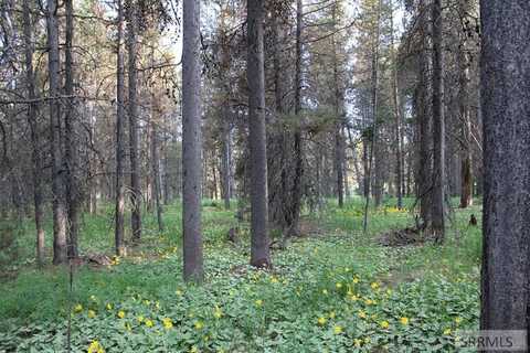 3511 Buffalo Lane, Island Park, ID 83429