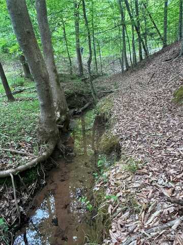 0 Desota Ridge, Rutherfordton, NC 28139