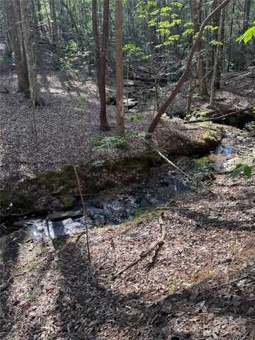 0 Clearwater Parkway, Rutherfordton, NC 28139