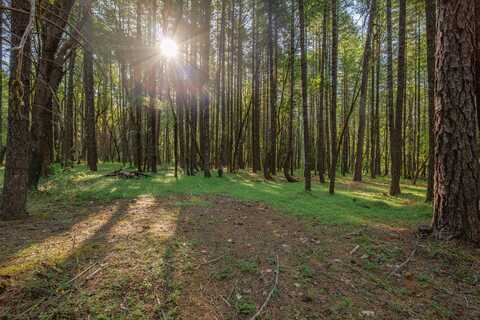 355 Firview Lane, Wilderville, OR 97543