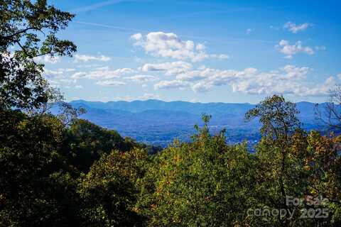 9999 Falconwood Lane, Asheville, NC 28804