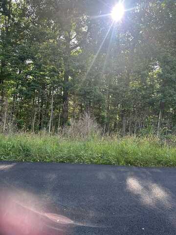 Lot 2 Burton Road, Scottsburg, VA 24589