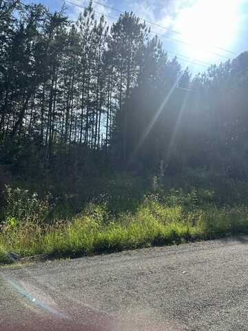 Lot 6 Burton Road, Scottsburg, VA 24589
