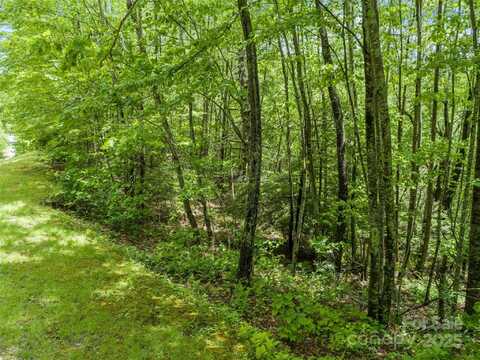 N Ridge Runner Road unit: 92, Burnsville, NC 28714