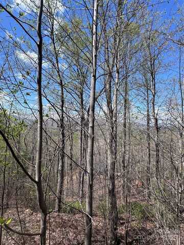 0 High Pines Loop, Lake Lure, NC 28746