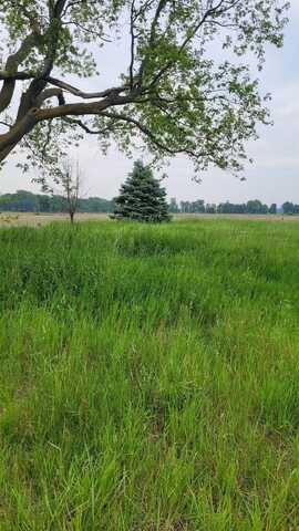 2305 W Juddville, Owosso, MI 48867