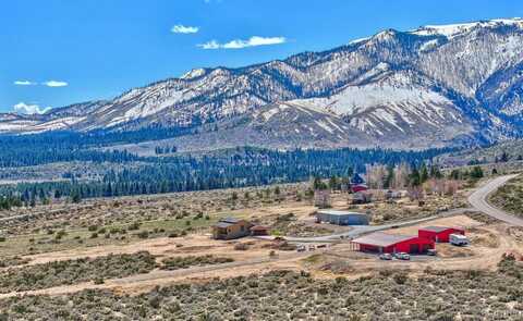 901 Emigrant Trail Trail, Woodfords, CA 96120