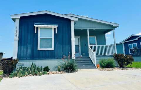1507 Mink Loop, Georgetown, TX 78626