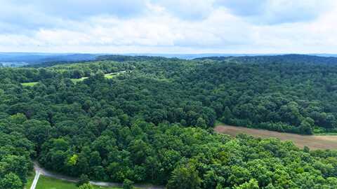 Tract 2 N State Rd 450, Shoals, IN 47581