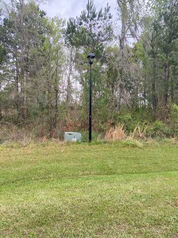 N/A Blue Springs, Bainbridge, GA 39819