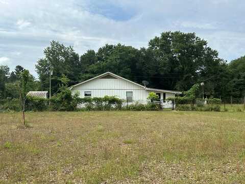 104 Wilsontown Rd, Bainbridge, GA 39817