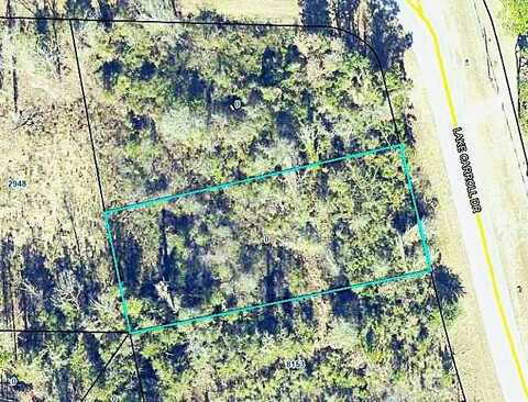 0000 Lake Carroll Drive, Donalsonville, GA 39845
