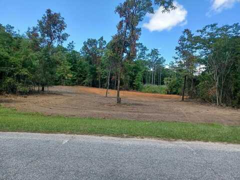 0000 Lake Carroll Drive, Donalsonville, GA 39845