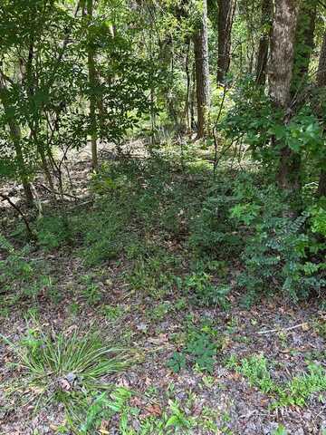 TBD East Homochitto Rd, Gloster, MS 39638