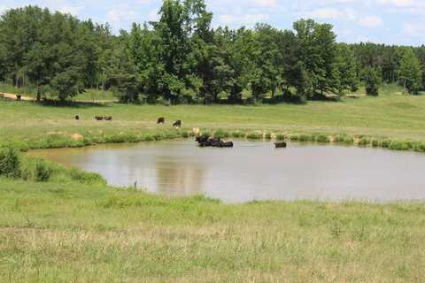 0000 Timberlane Road, Wesson, MS 39191