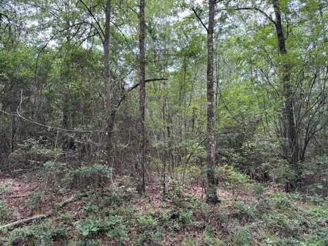 NA New Home Road, Magnolia, MS 39652