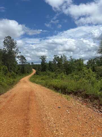 TBD Hood Bottom Road, Other, MS 39601