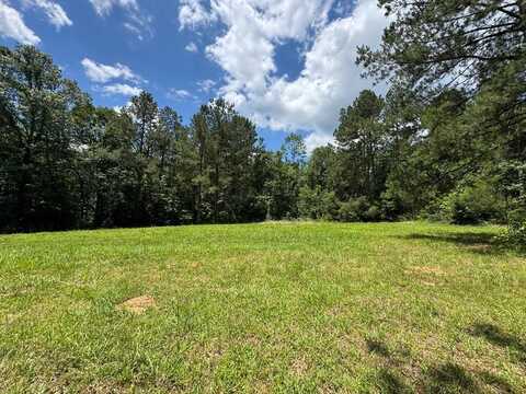 3016 Ashley Rd, Hazlehurst, MS 39083