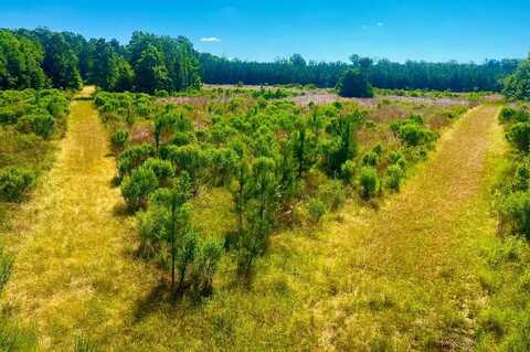 TBD Lewis Ln, Gloster, MS 39638