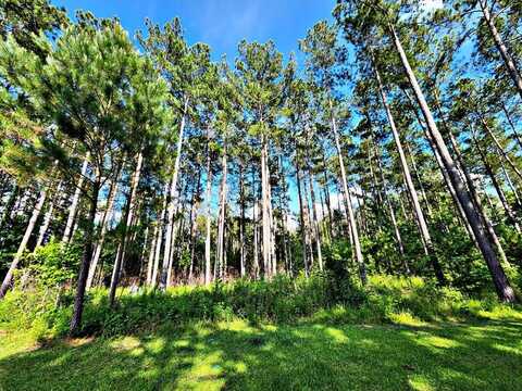 1570 Shelby LN, Bogue Chitto, MS 39629