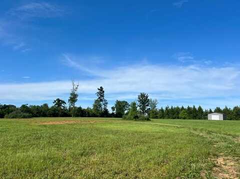 19 Beartown Rd, Jayess, MS 39641