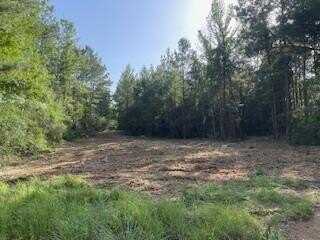 TBD McClain Rd, Liberty, MS 39645