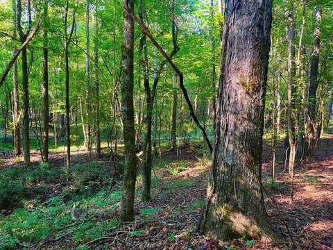 3050 James Dr, Wesson, MS 39191