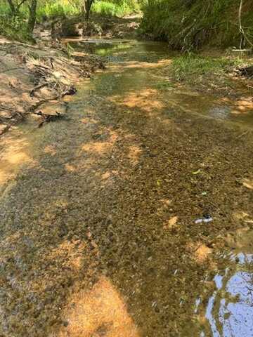 0 Williams Road, Magnolia, MS 39652