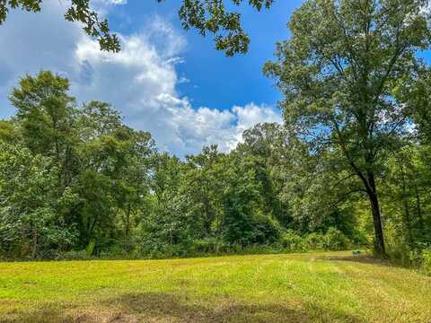 TBD Paul Gallows Rd., Utica, MS 39175