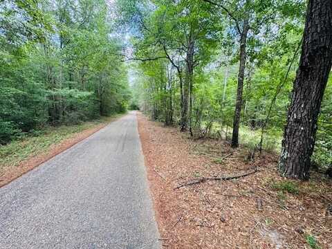TBD Carters Creek Rd, Tylertown, MS 39667