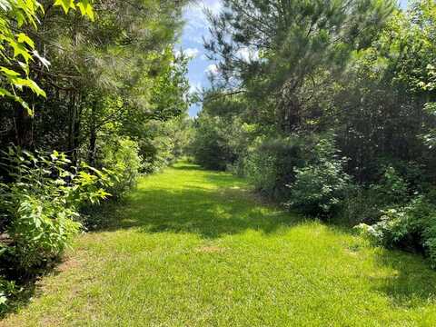 TBD Tom Warner, Tylertown, MS 39667