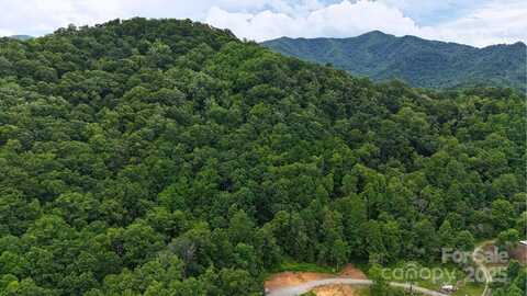 0000 Wayward Cove, Clyde, NC 28721