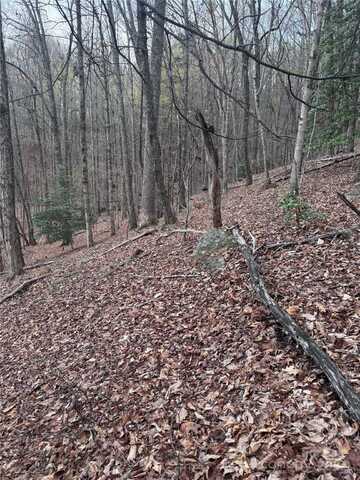 Wilkerson Court unit: 16, Lake Lure, NC 28746