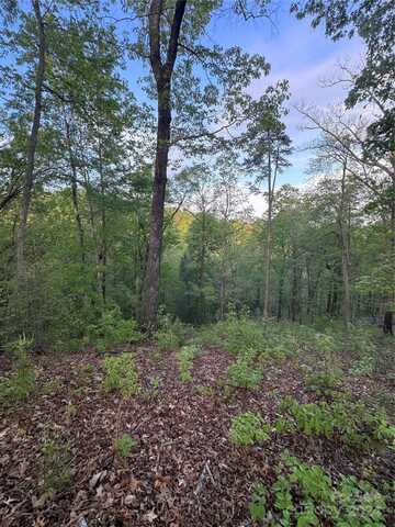 0 Willow Top Lane, Lake Lure, NC 28746