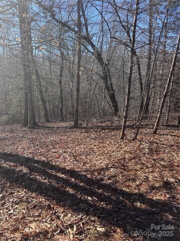 0 Clearwater Parkway, Rutherfordton, NC 28139